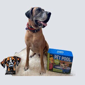 NEW XXL 5-in-1 Portable Pet Pool Kit + Float Toys – 63” Durable Pop-Up Dog Pool